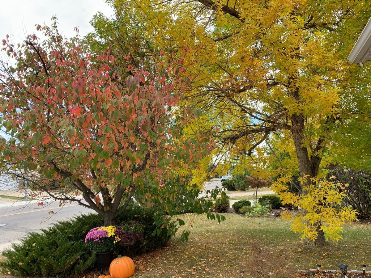 Brother Li Homestay YYC Exterior foto